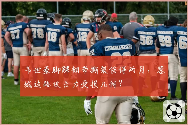 韦世豪脚踝韧带撕裂伤停两月，蓉城边路攻击力受损几何？